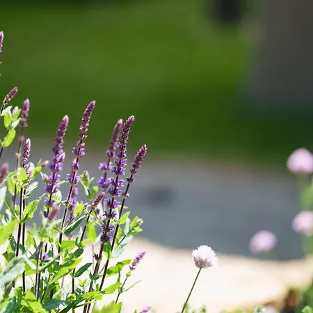 Les Jardins D'anais Hotell