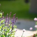 Les Jardins D'Anais Hotel