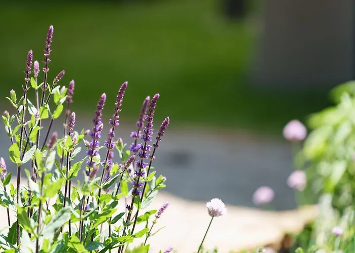 Les Jardins D'anais Otel